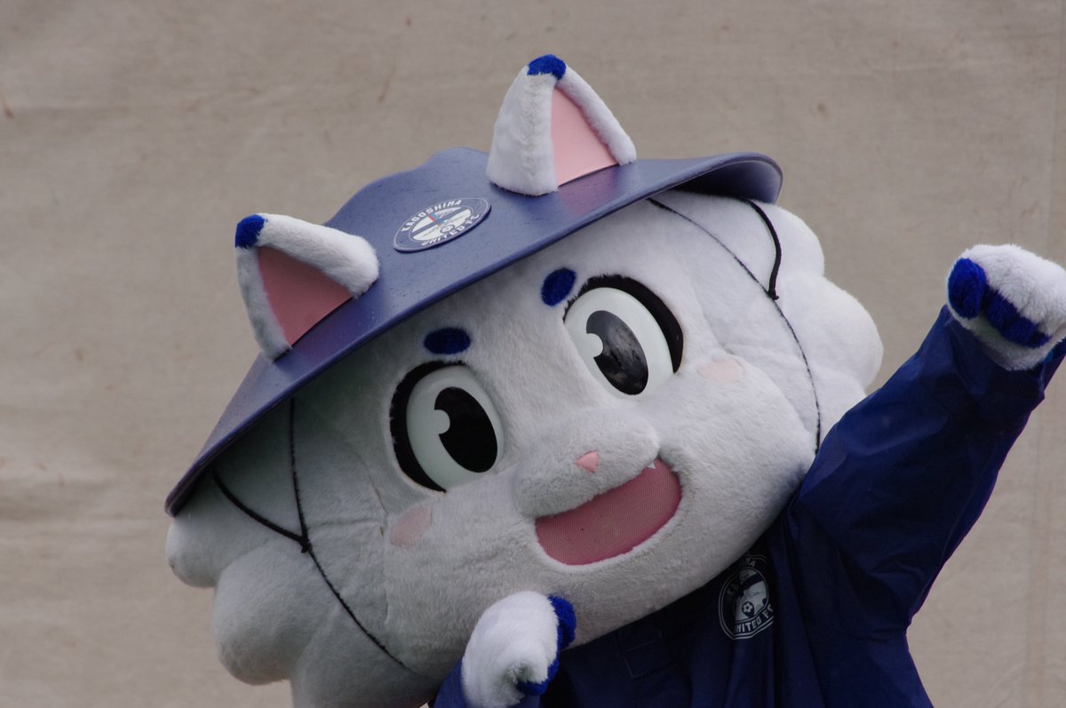 to_v_11's tweet photo. #鹿児島ユナイテッドFC
#ゆないくー
#ゆないくーおねえさん https://t.co/S2BLbQ8rt9