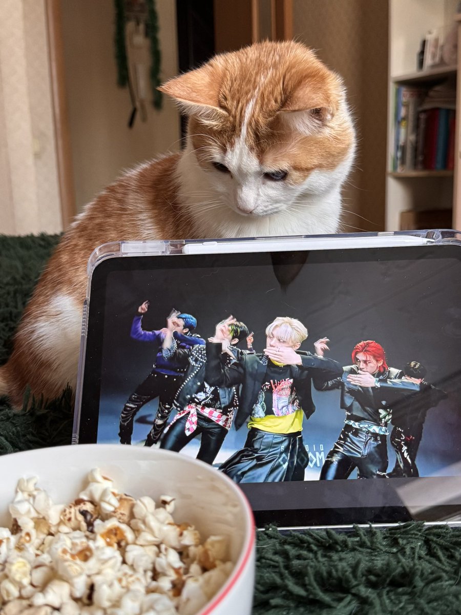 мне надо писать научную статью, а я ем невкусный (потому что соленый) попкорн и смотрю ютуб