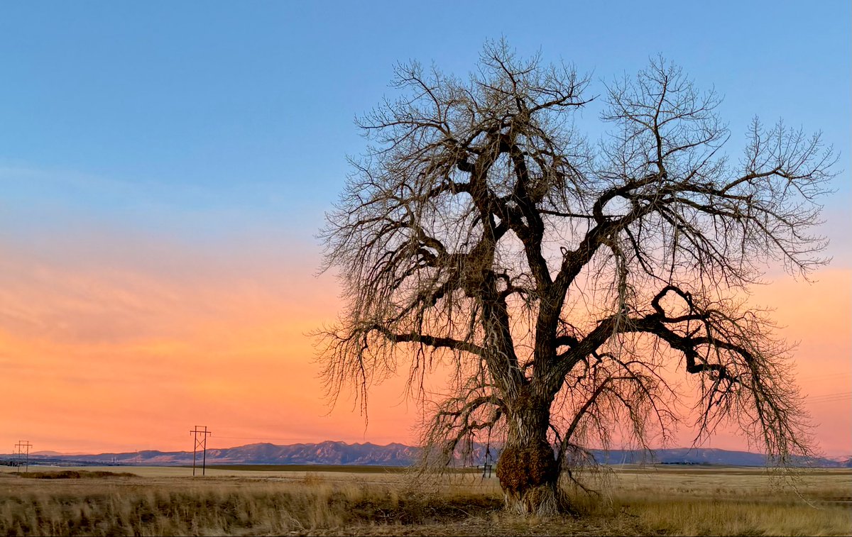 D Miller tweet media