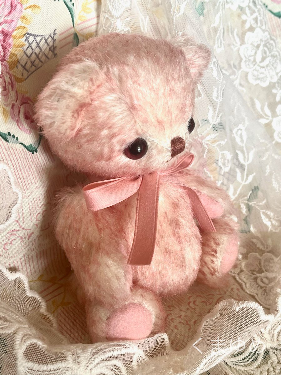 RT @kumayume1: 21時になりましたので、カートオープンとなりました