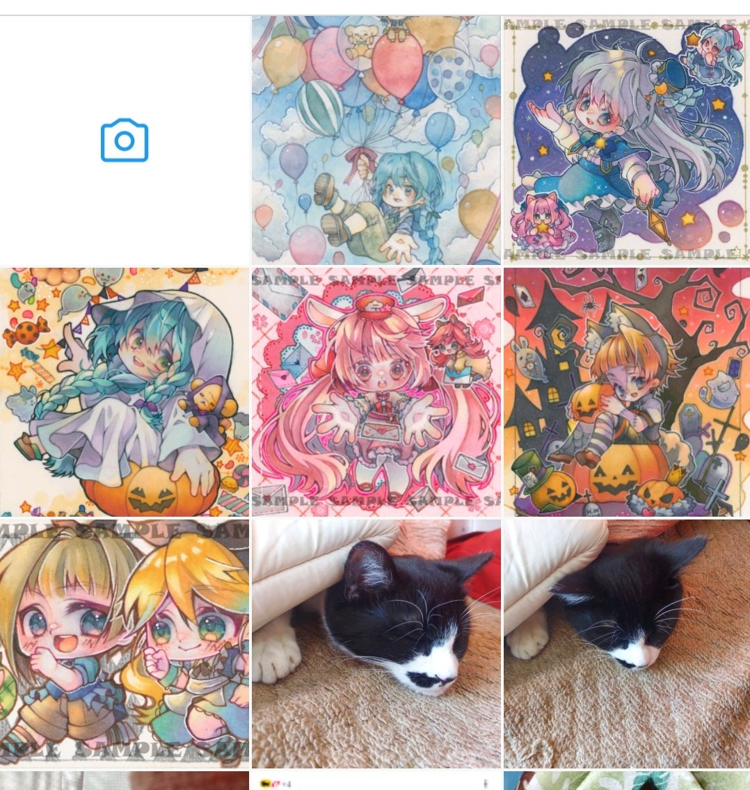 出品準備をする時いつも、きっと可愛く見えてるからお迎え決まるはず