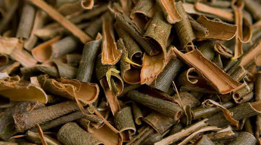 _crazyalchemist's tweet photo. Willow bark was used for rheumatism because willows grow in damp places where the ailment strikes. It contains salicylic acid - the direct chemical precursor to aspirin. The signature was nonsense; the chemistry was real. https://t.co/k2hv6FLQbO