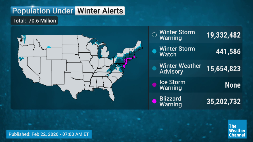 Veronica Dolan tweet media