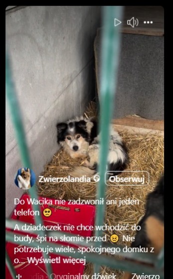 Bardzo proszę o RT dla seniorka ...
domku,gdzie jesteś ?