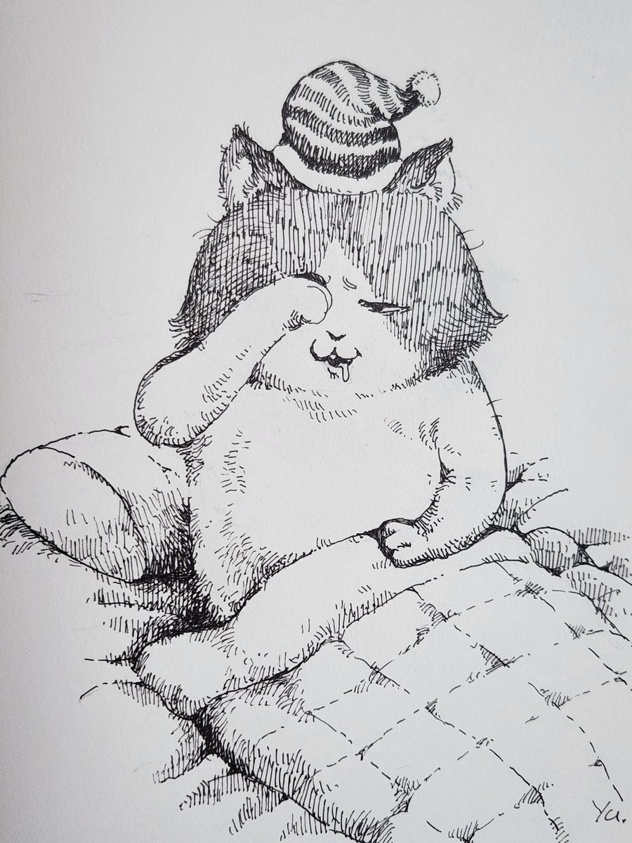え、猫の日？
#illustration #pendrawing #アナログイラスト #ペン画 #猫の日