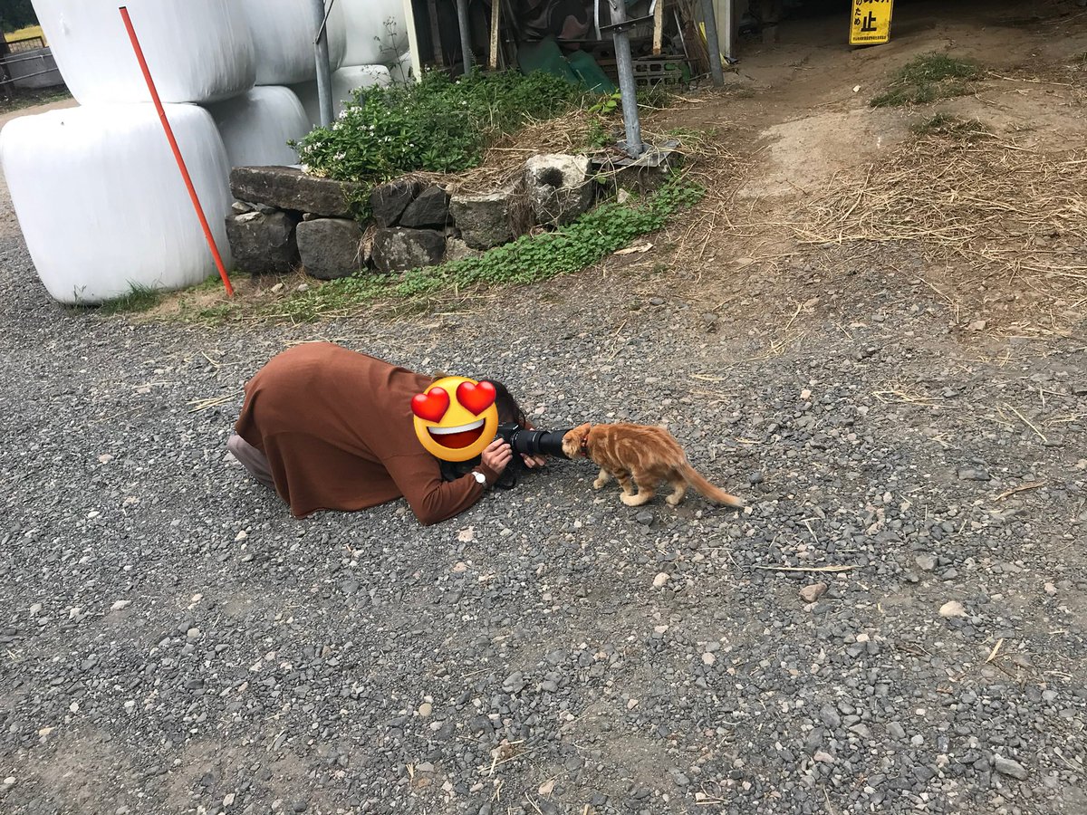 蔵王の牧場かなんかで写真撮ってたら(許可いただいた)人懐っこく近づい