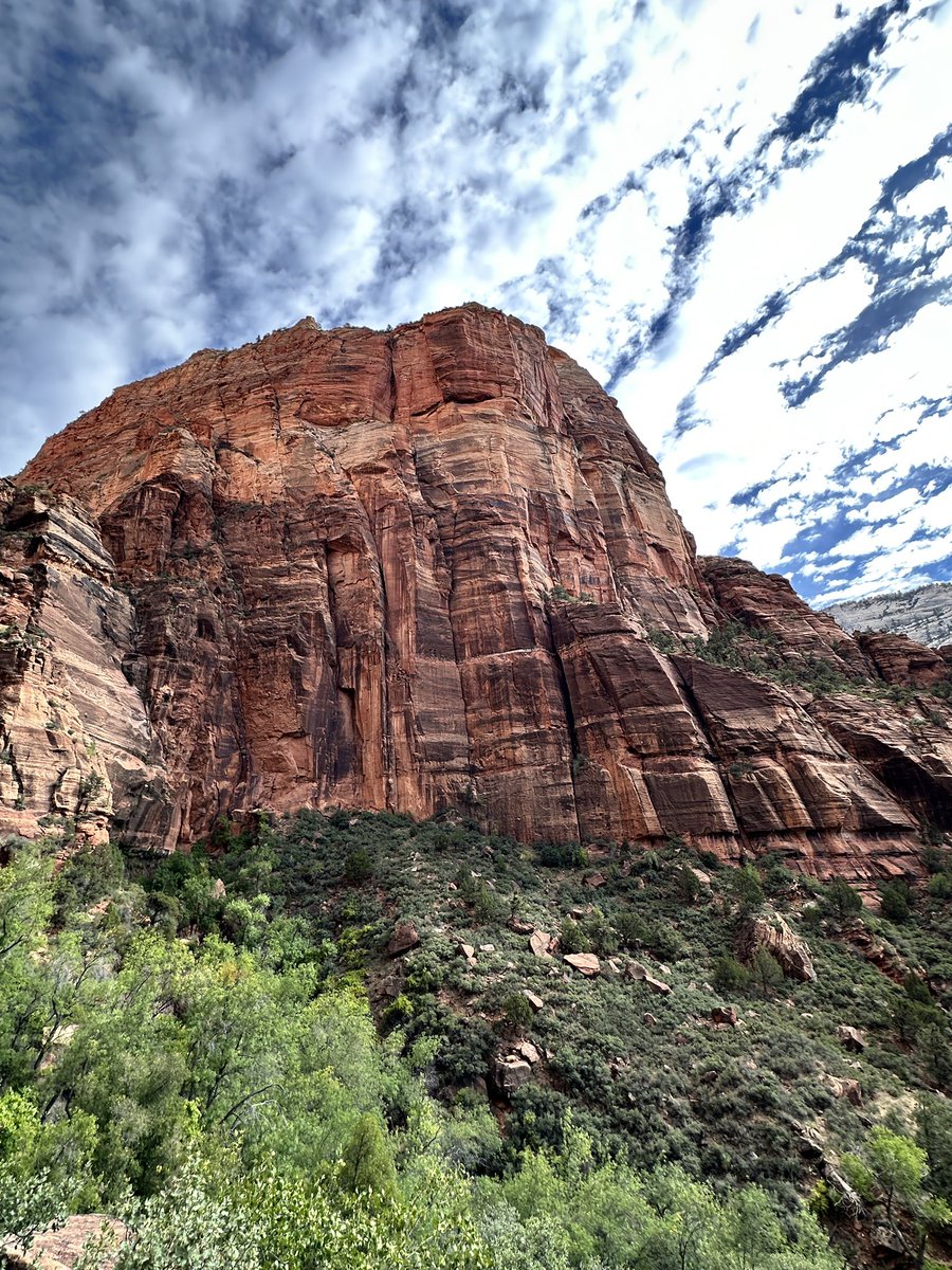 Appodlachia tweet media