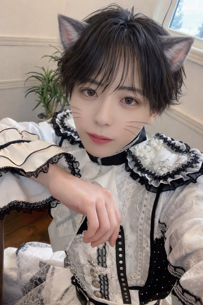 Rouga_SADs's tweet photo. にゃあ https://t.co/rY7Q0YC7O5