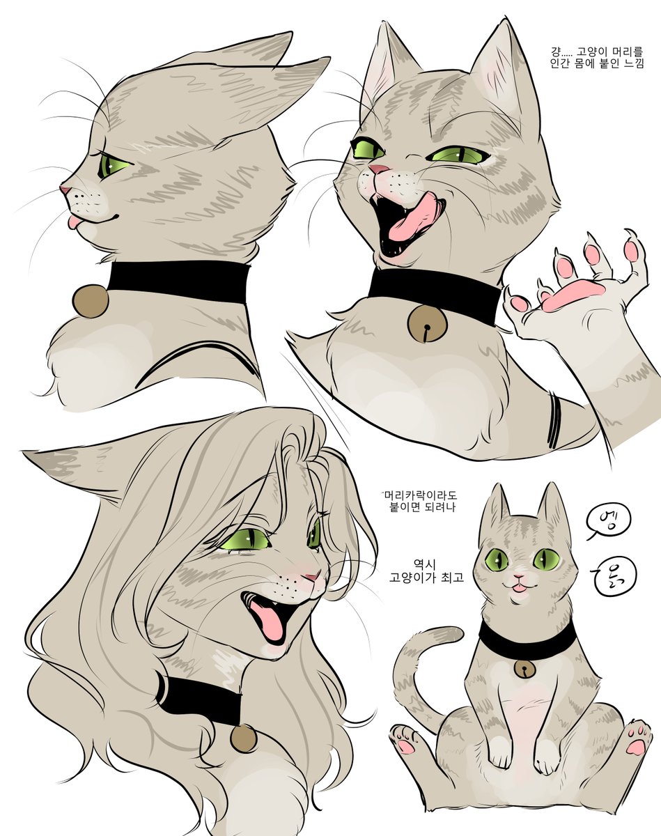 라키아 tweet media