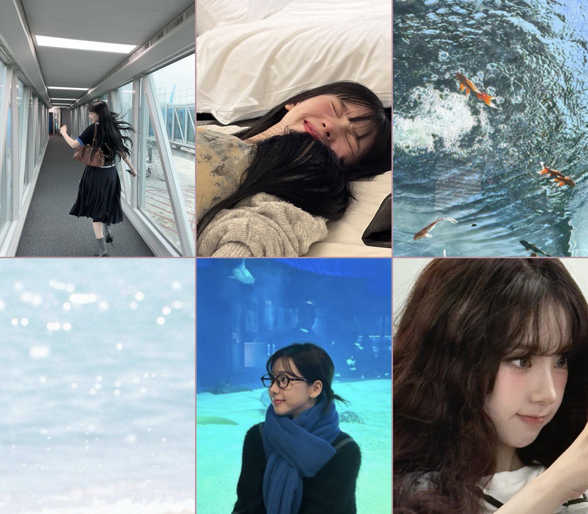 𝗦𝗼𝗻𝗲𝘁𝗮 tweet media