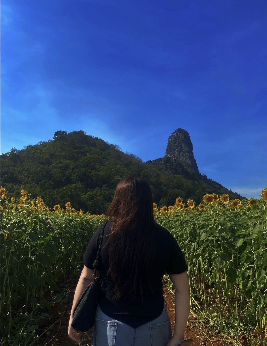 NAOMIISTAR🌻 tweet media