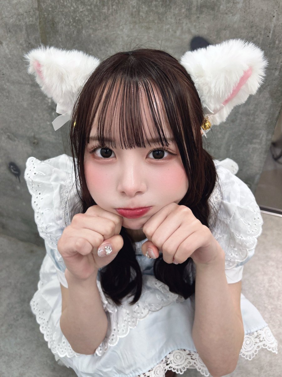 ついんてーる猫ちゃんの日^ᴗ ̫ ᴗ^♡