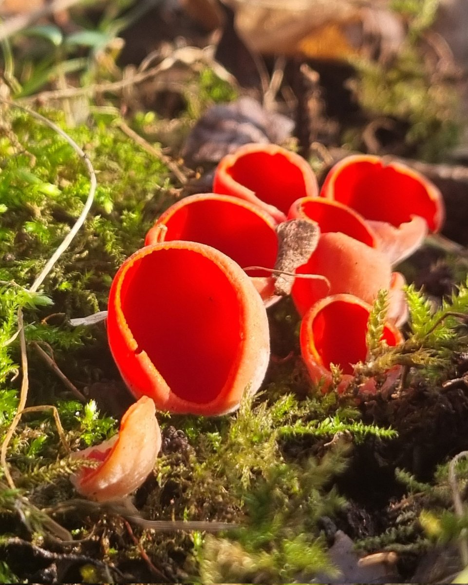 Life of the Bead Hermit tweet media