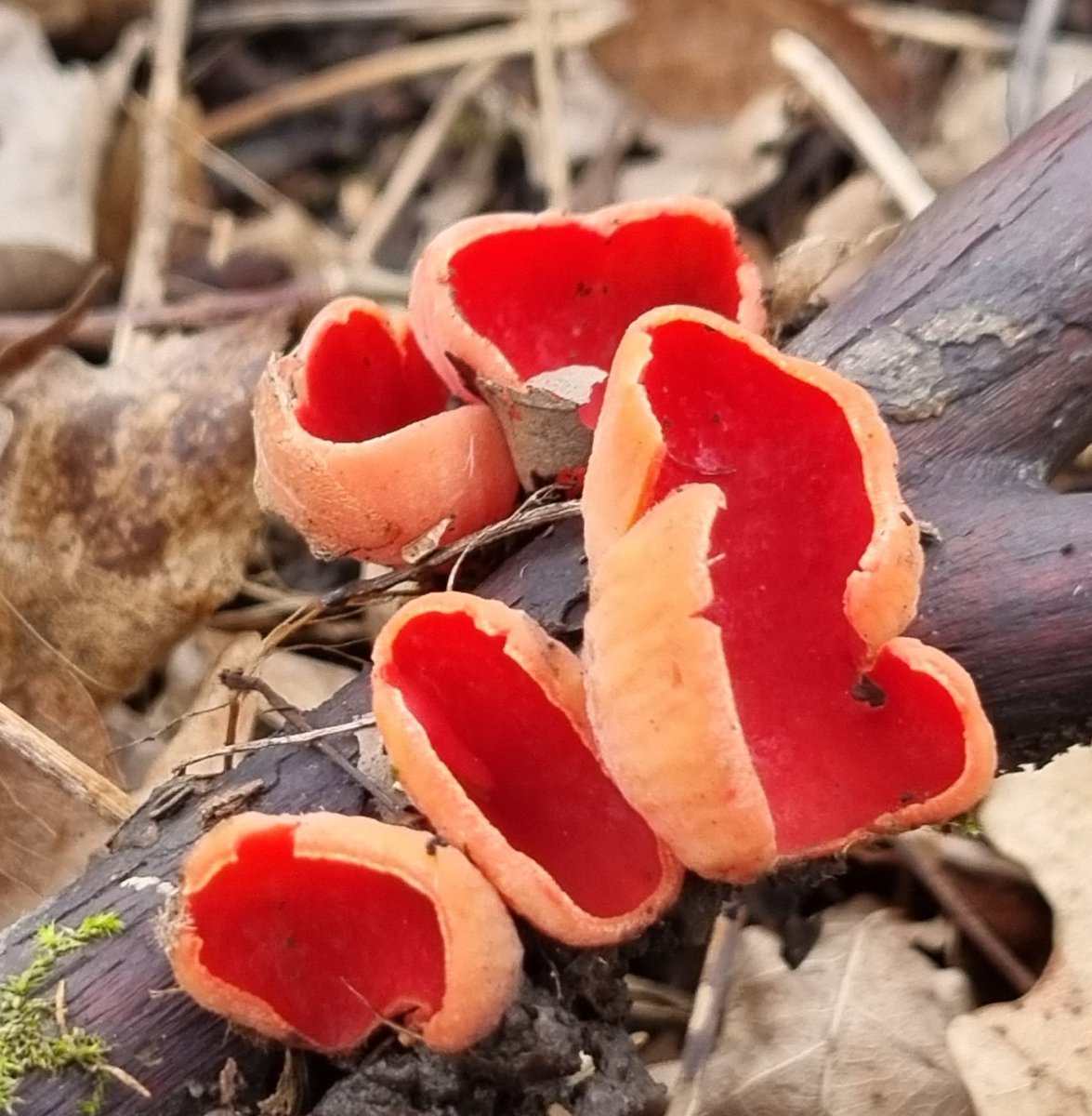 Life of the Bead Hermit tweet media