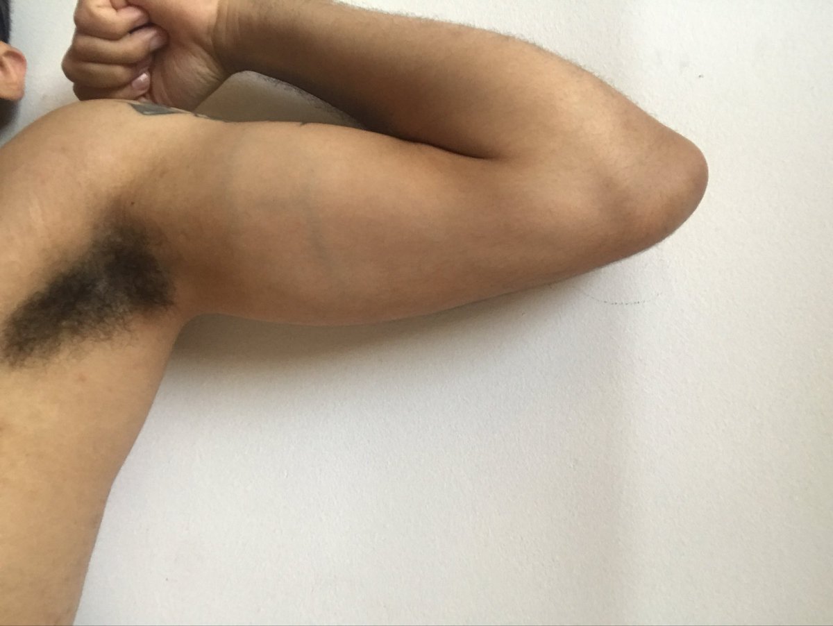 Pentelhudo SP tweet media