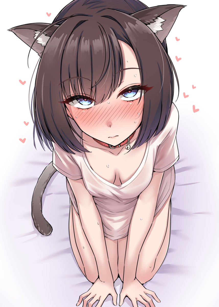 ねこだかにゃんにゃんだかの日らしいので
秋月にお願いするぜ!! 