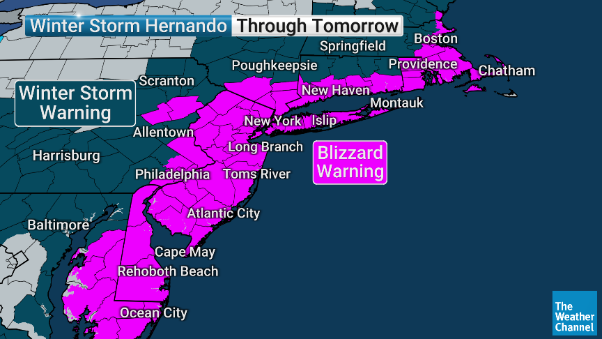 Veronica Dolan tweet media