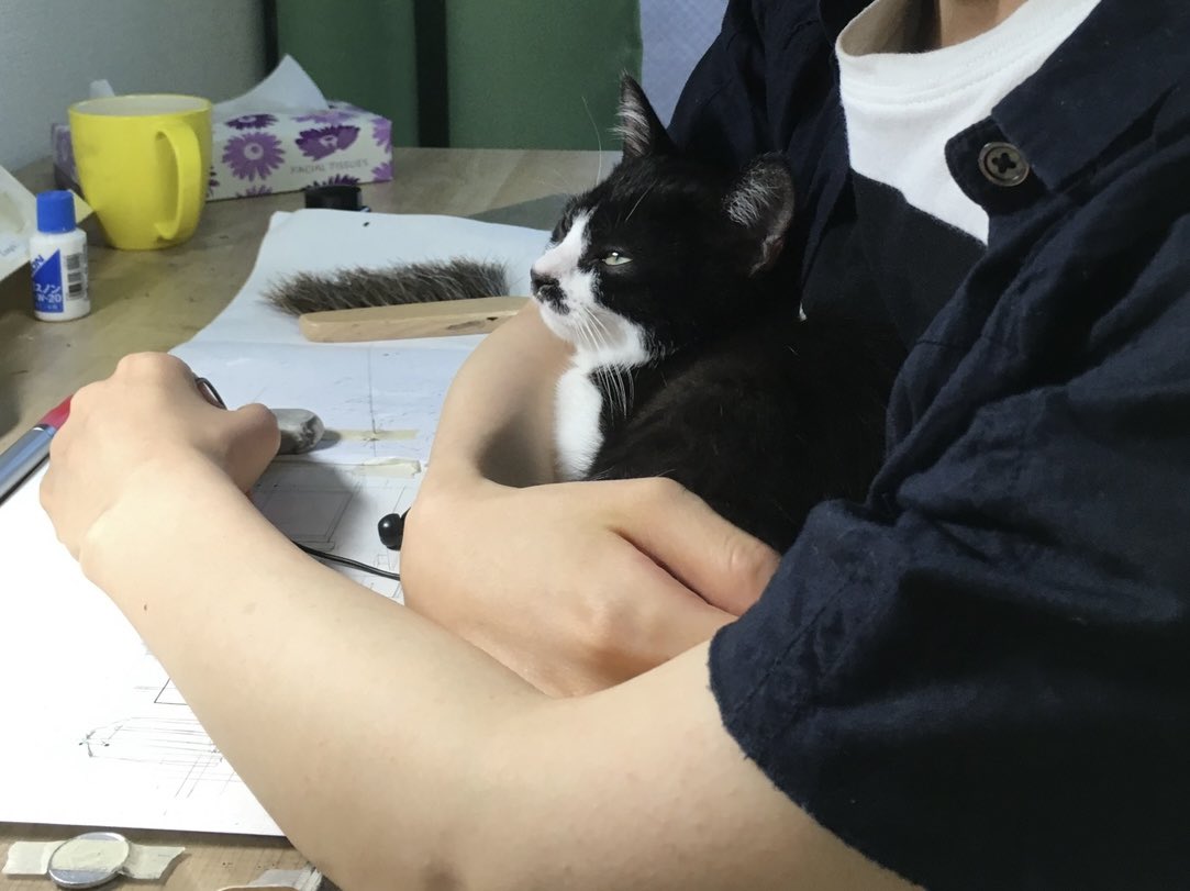 まだ半アナログ作業だった頃、「猫に全く関心が無い」と言い張っていたアシスタントさんが猫の可愛さを知ってしまった時の写真
#猫の日なので今まで撮った中で最高の猫写真貼る