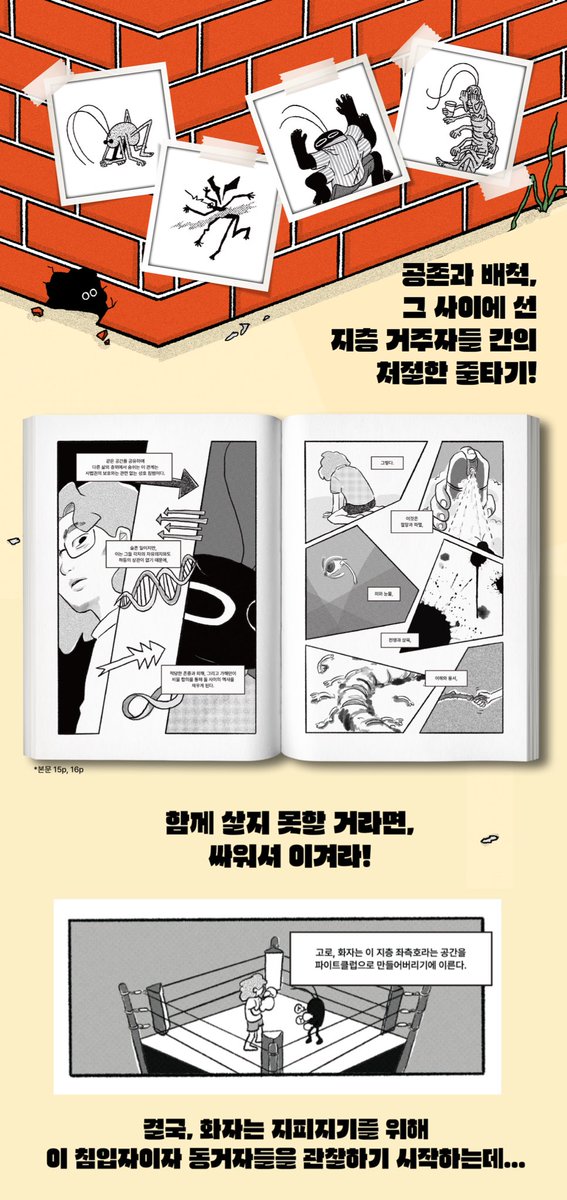 _ZulZZa's tweet photo. 🐛24년도 칸새에서 처음 선보인 그래픽노블, <지층거주자: 반지하로부터의 수기> 를 알라딘 북펀드를 통해 만나 보실 수 있게 되었습니다! 

반지하에서 살아남기 위해 타자와 마주치고 싸워야 했던 순간들을 기억하는 분들이라면, 읽어 볼 만한 책일지도…?

https://t.co/ETBRuqUD8m https://t.co/JRh1oqFeXh