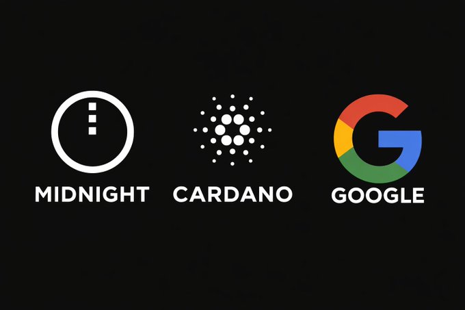 Midnight and cardano will be bigger than Google