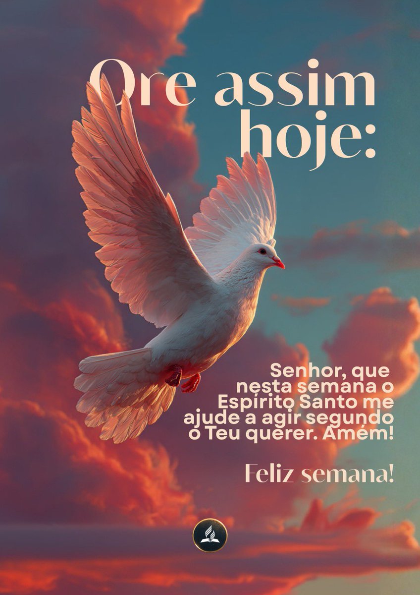 Raimundo Gonçalves tweet media