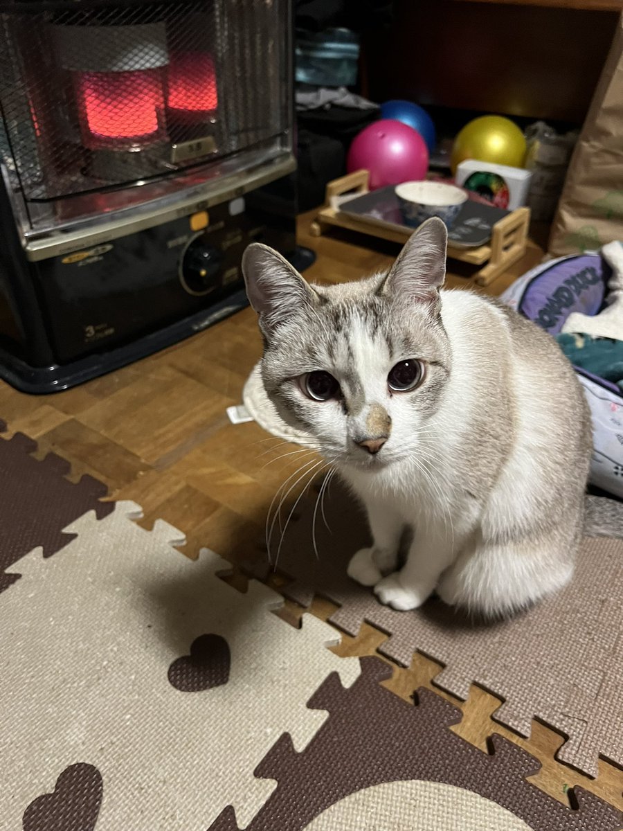 sayamaru tweet media