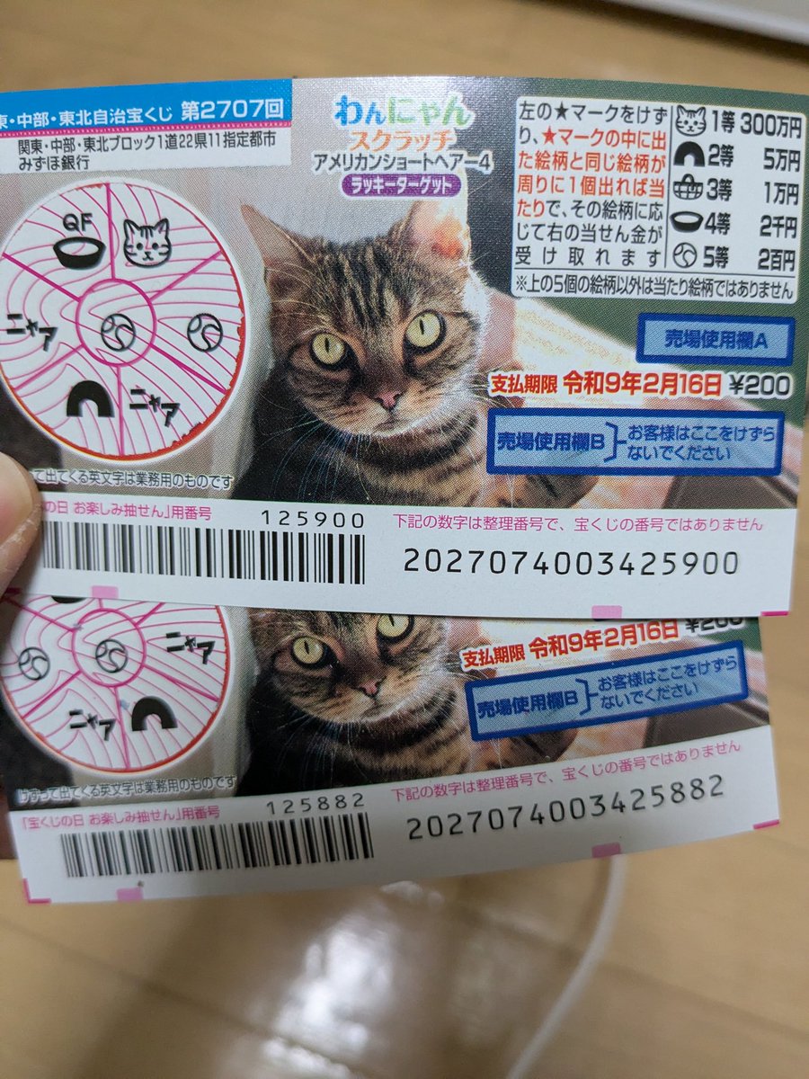 たんぽぽさん (@strawberry0901p) / Posts / X