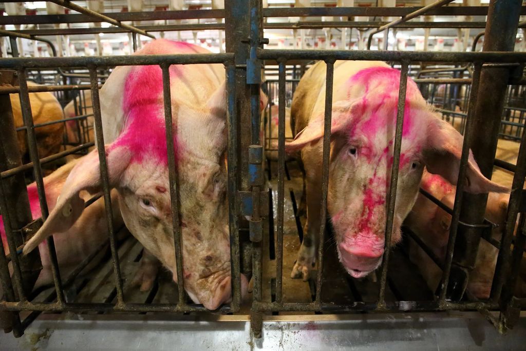 John Oberg tweet media