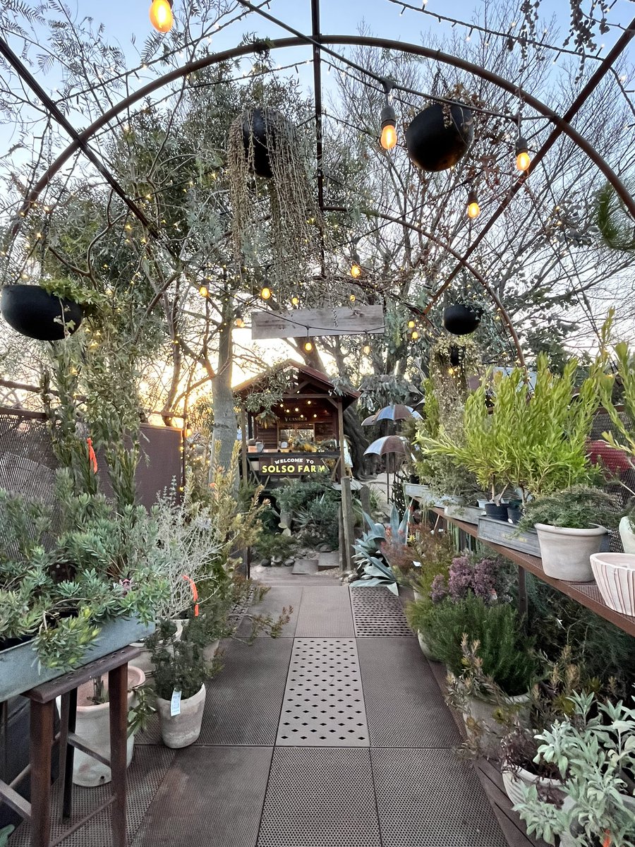 大野 力 / sinato tweet media