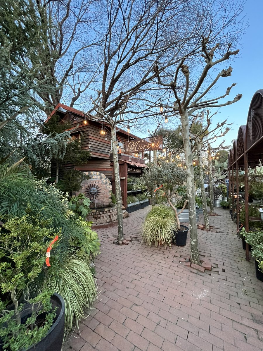 大野 力 / sinato tweet media