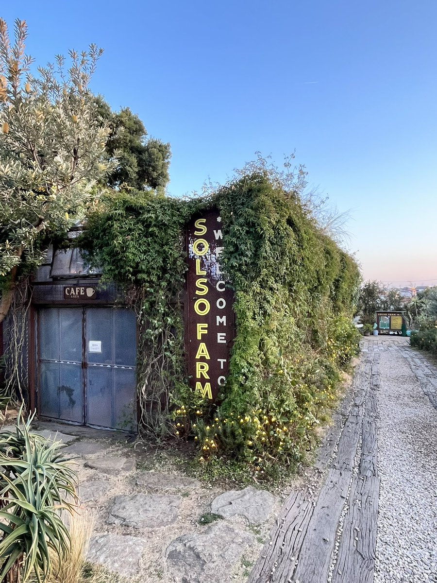 大野 力 / sinato tweet media