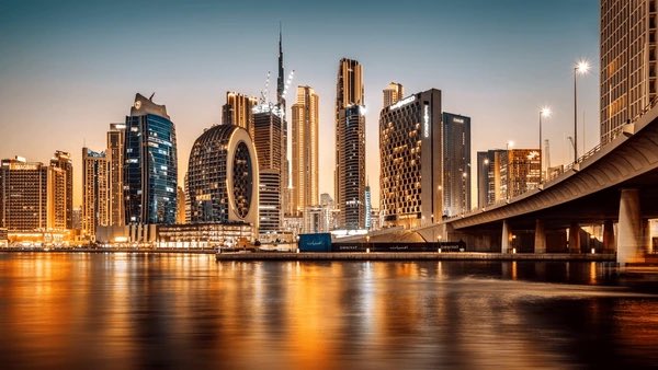 Anthony Diaz 🦁 tweet media