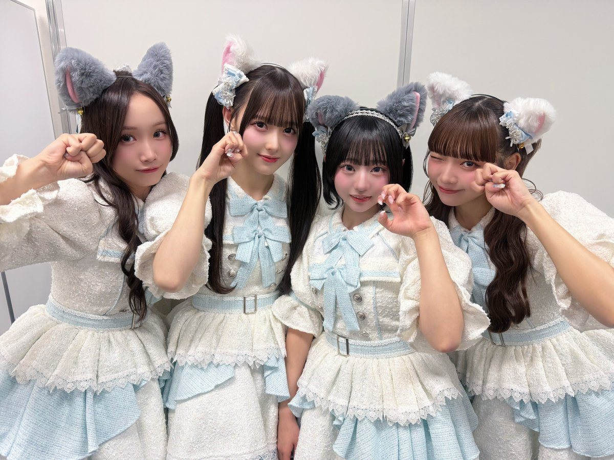 🎀#たかねこちゃん情報 にゃんこちゃんたち𛰙᭜ ᭜ Tiktokみてね♡ #猫の日