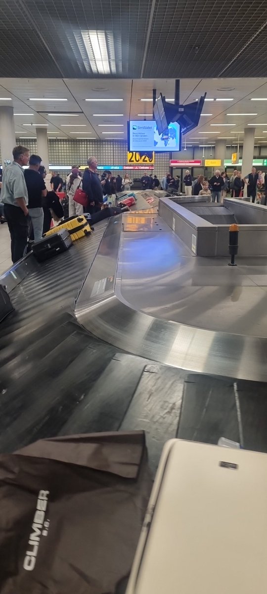 vester71 tweet media