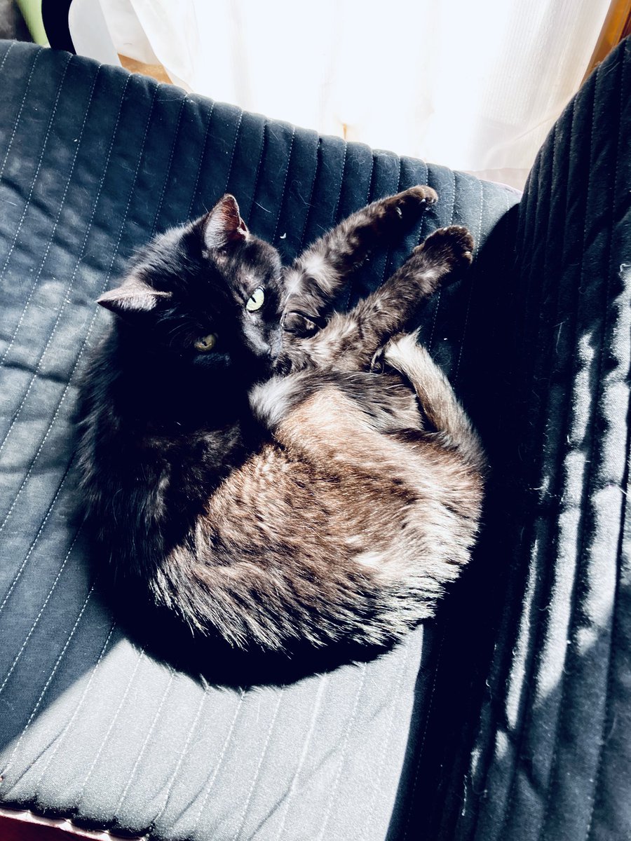 フミ☆ユキ(ゆきねぇ) (@fumiyuki727) / Posts / X