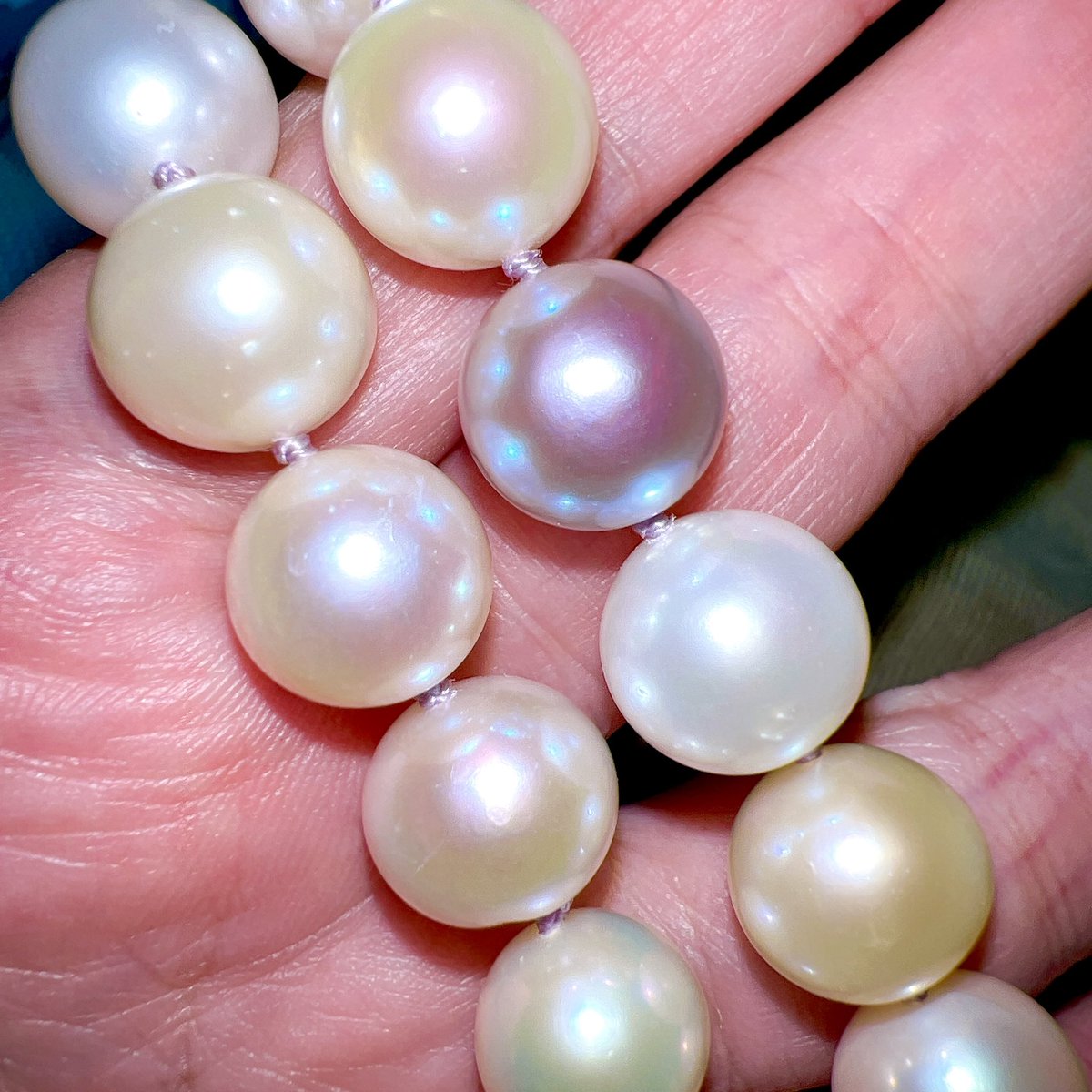 今日新しく購入したのはエジソンパール（淡水）の連ネックレスです