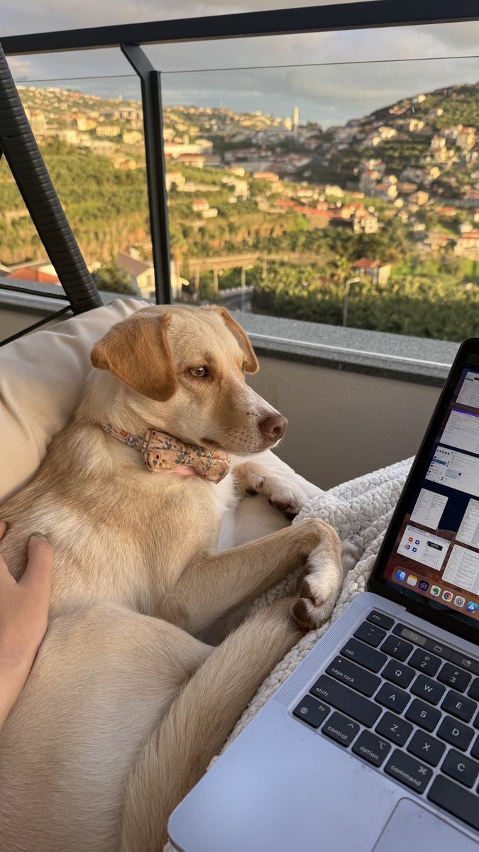 🧞♂️Martin Donadieu - oss/acc tweet media