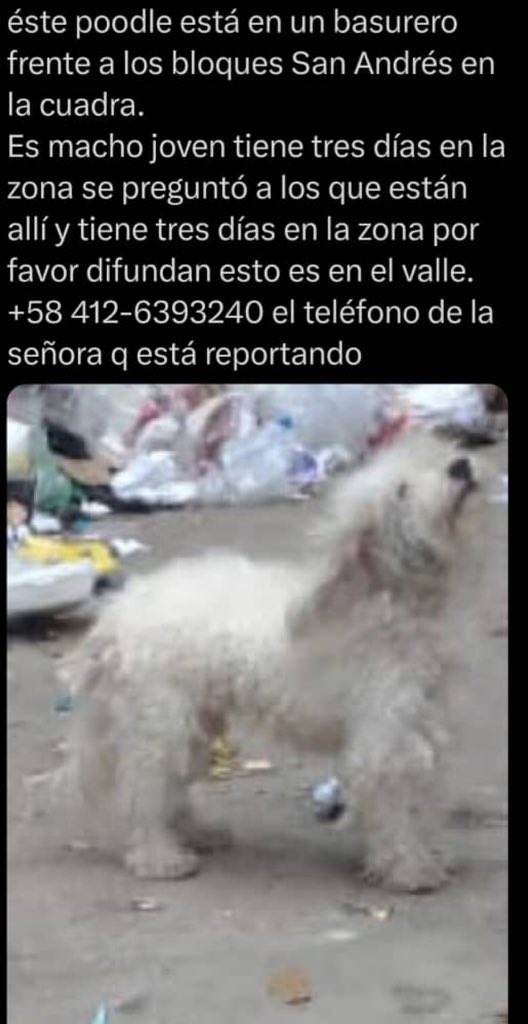 Rescata (@carmenzr04) on Twitter photo 