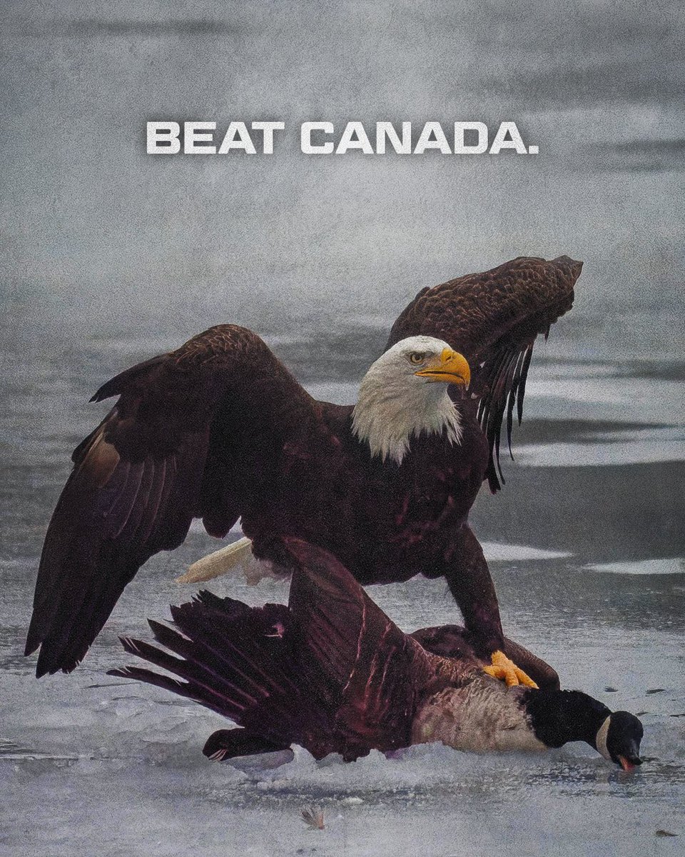 McCrosky Creative tweet media