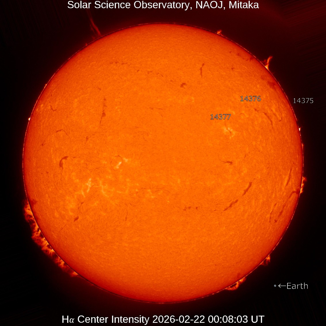 本日の太陽】2026-2-22のHα線全面像 非常に静穏な状態です。 太陽表面