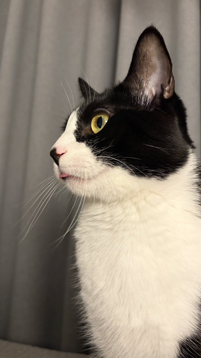 봉구네 김밥이 tweet media