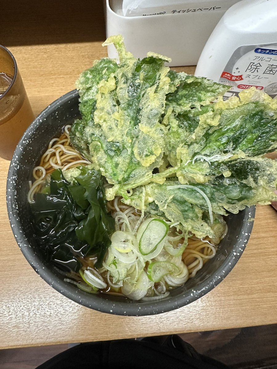 ポポチョロ🐦💨 (@1b4fc39ec9e04d3) / Posts / X