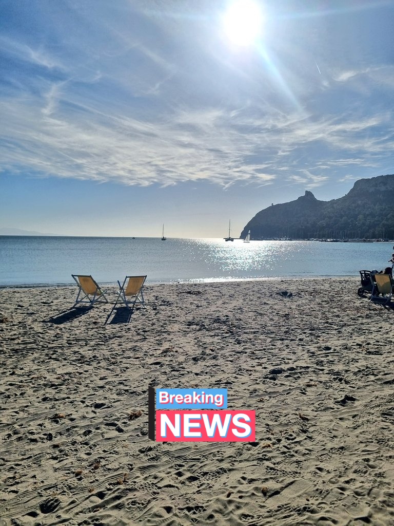 GIUSEPPE PALOMBA tweet media