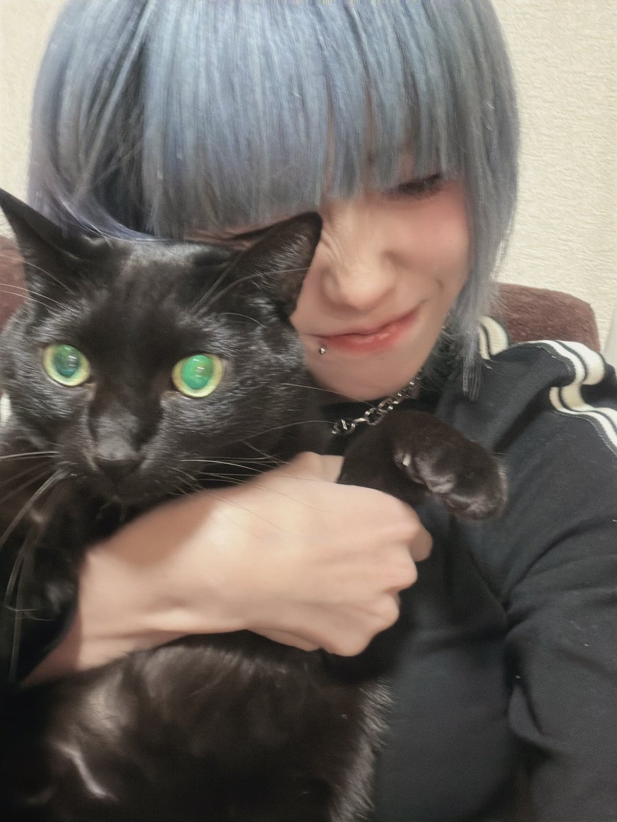 #猫の日 
実家に吸いに帰った🐈‍⬛
ジジさんにもしっかり挨拶してきた！