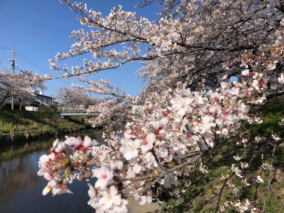 ชอบดอกไม้มากๆแค่เห็นก็มีความสุขแล้ว
ไปเจอที่ไหนต้องแวะถ่ายรูปตลอด