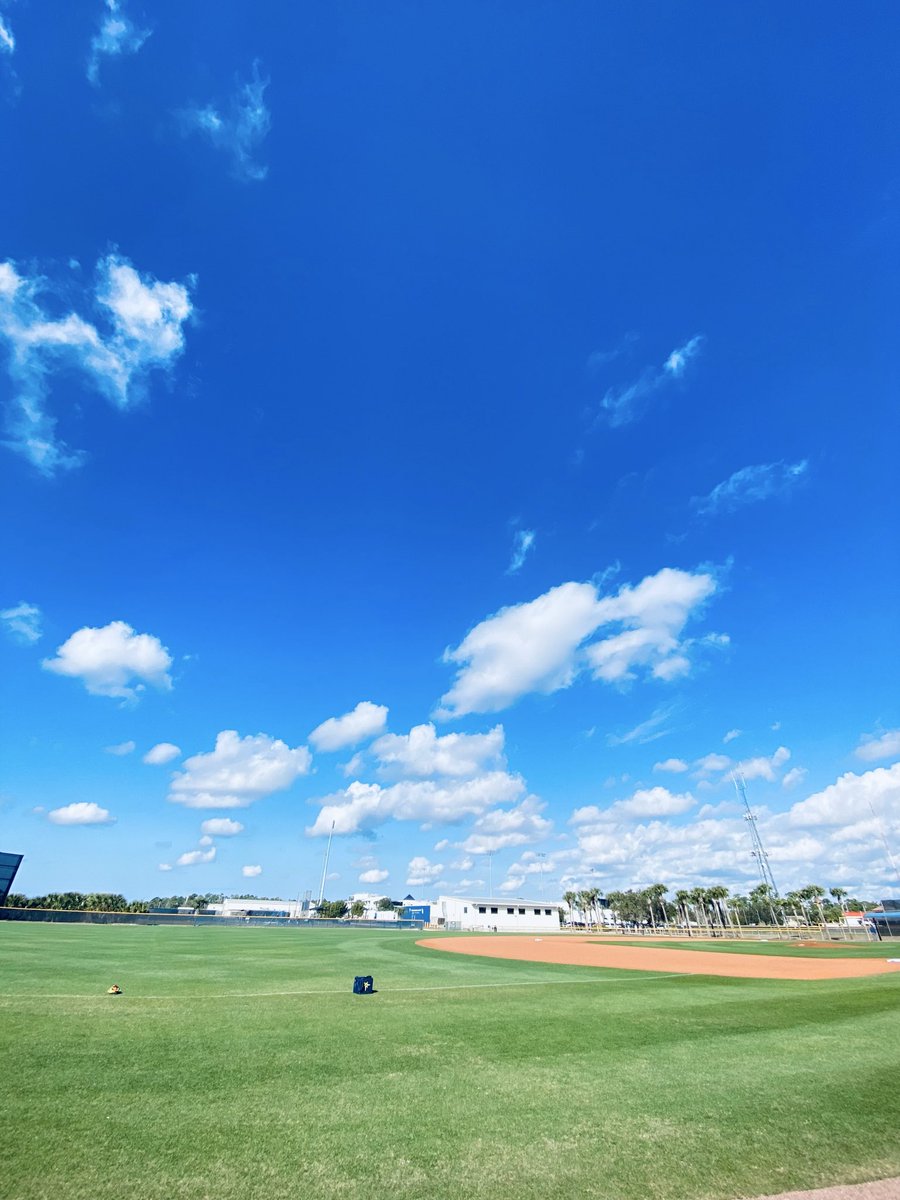 渡邊 誉（ワタナベホマレ） tweet media