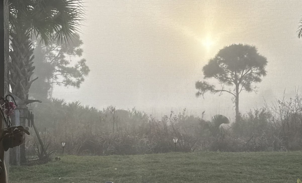 2/22/26 South Florida 07:15 ET URGENT REQUEST 🚨🚨🚨:  
Can anyone in the area please analyze this fog material because I suspect there are concentrations of FIRE PROPELLANT that they are dispersing TO SET US UP FOR THE FIRES. 

This is facing due east coming from the Atlantic