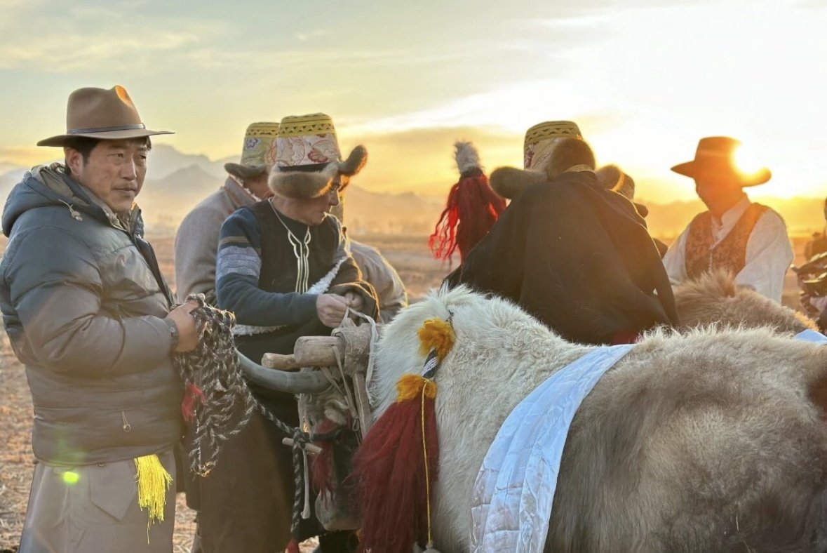 HimalayaTouch_'s tweet image. According to Tibetan astronomical calculations, the Spring Plowing Ceremony is Xizang’s key agricultural event. Farmers gather to pray for good weather and a harvest, marking the start of a prosperous year. What tradition marks spring in your hometown? Share below! #SpringPlowing