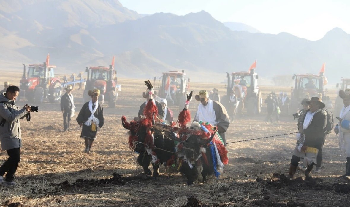HimalayaTouch_'s tweet image. According to Tibetan astronomical calculations, the Spring Plowing Ceremony is Xizang’s key agricultural event. Farmers gather to pray for good weather and a harvest, marking the start of a prosperous year. What tradition marks spring in your hometown? Share below! #SpringPlowing
