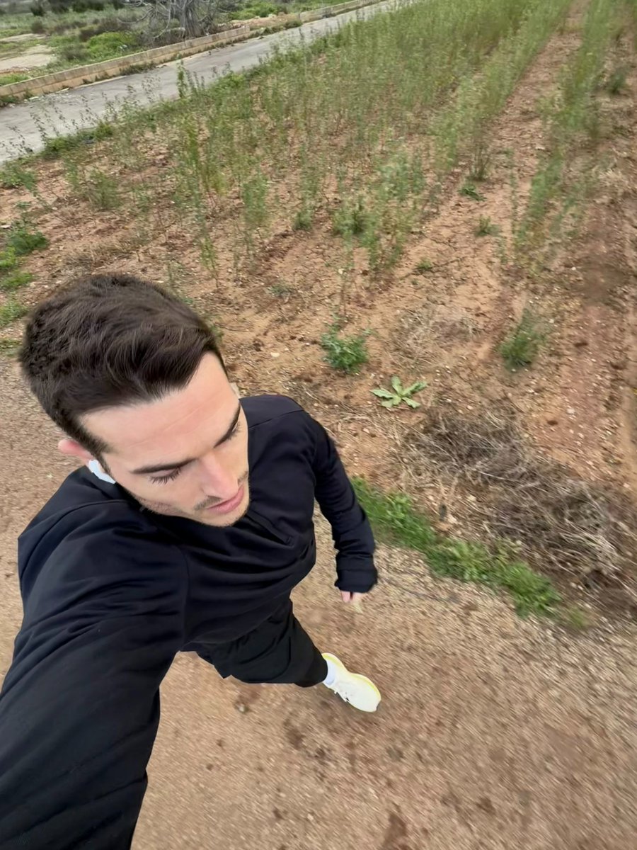 TarreDev tweet media